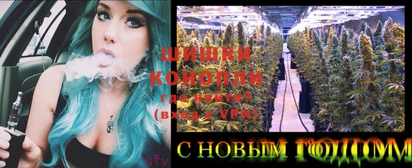 индика Белокуриха