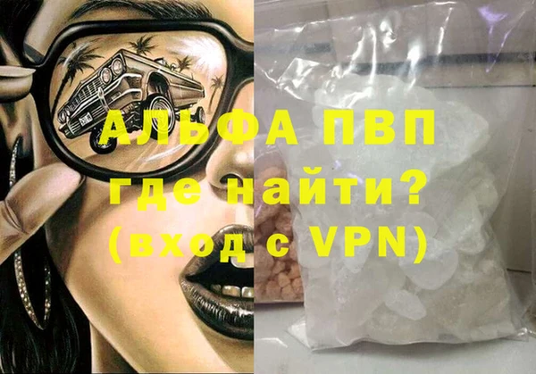 индика Белокуриха