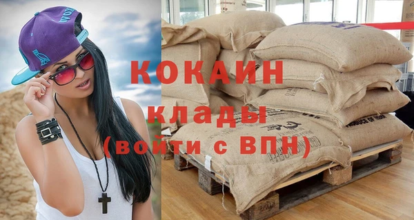 индика Белокуриха