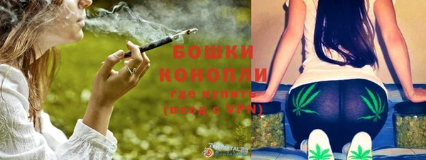 стаф Беломорск