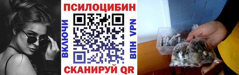 Галлюциногенные грибы Psilocybe  Купить закладки  Туапсе 